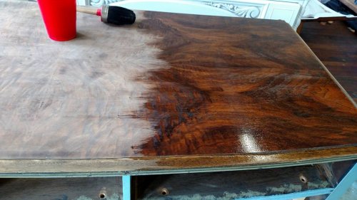 Wise Owl Hemp Seed Oil - 16 oz.